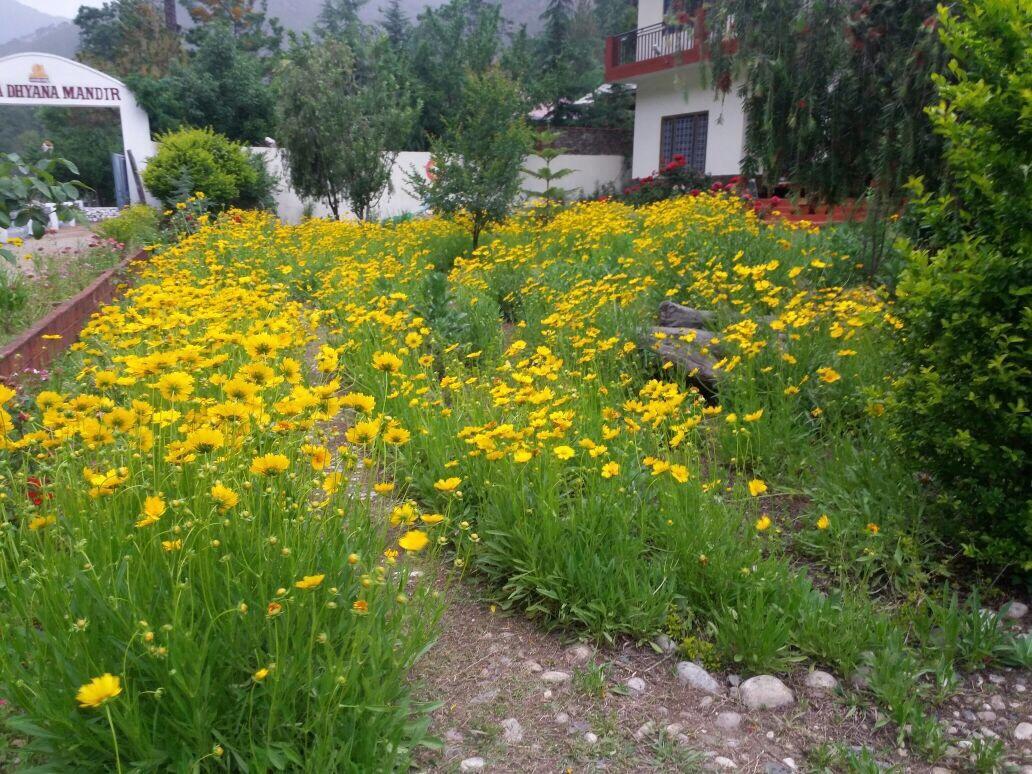 Anand Ganga Hotel Uttarkashi Luaran gambar
